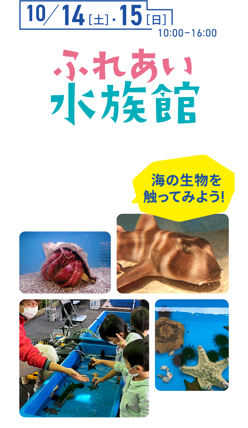 10/14（土）・15（日）ふれあい水族館がやってくる! ネコザメやナマコ、ウニ、ヒトデといった生き物たちがやってくる!海の生物を触ってみよう!