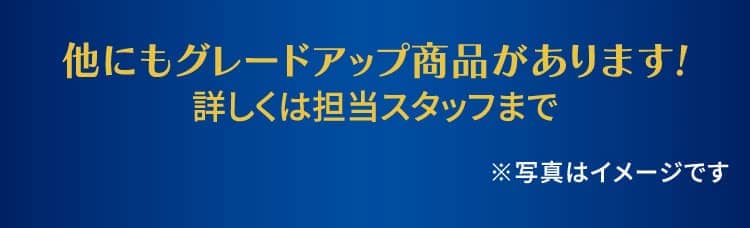 他にもグレードアップ商品があります!詳しくは担当スタッフまで ※写真はイメージです